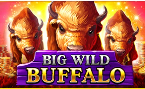 Big Wild Buffalo